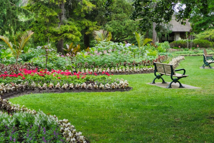 Garden bed with red geraniums and white flowers bordering a manicured lawn